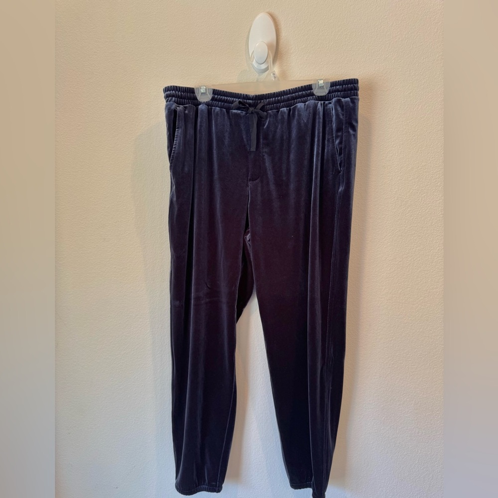 Loft Womens Velvet Pants - Blueberry Blue